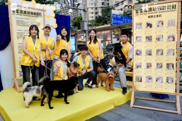 第二届深圳宠物友好文化节圆满落幕 第二届深圳宠物友好文化节圆满落幕