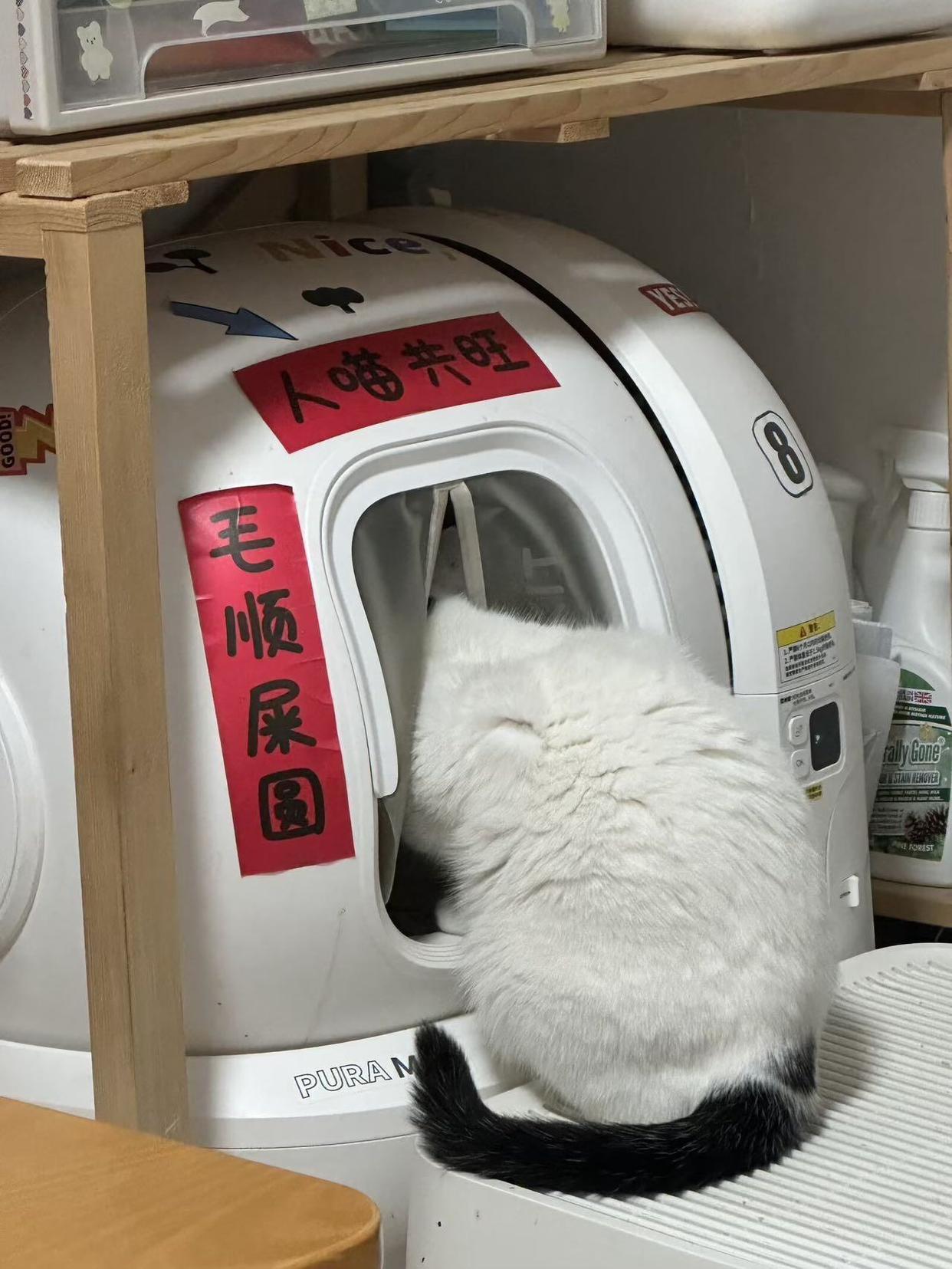 618宠物消费火热!工厂爆单火力全开,铲屎官为爱花式“剁手” 618宠物消费火热!工厂爆单火力全开,铲屎官为爱花式“剁手”