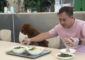 男子带宠物狗上桌吃饭并喂食，沈阳老四季深夜致歉门店停业整改