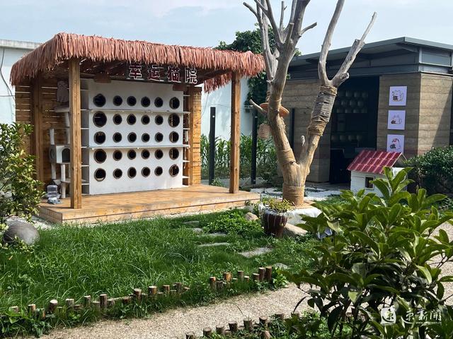 宿迁深耕宠物友好型城市建设，为文明城市增添人文温度