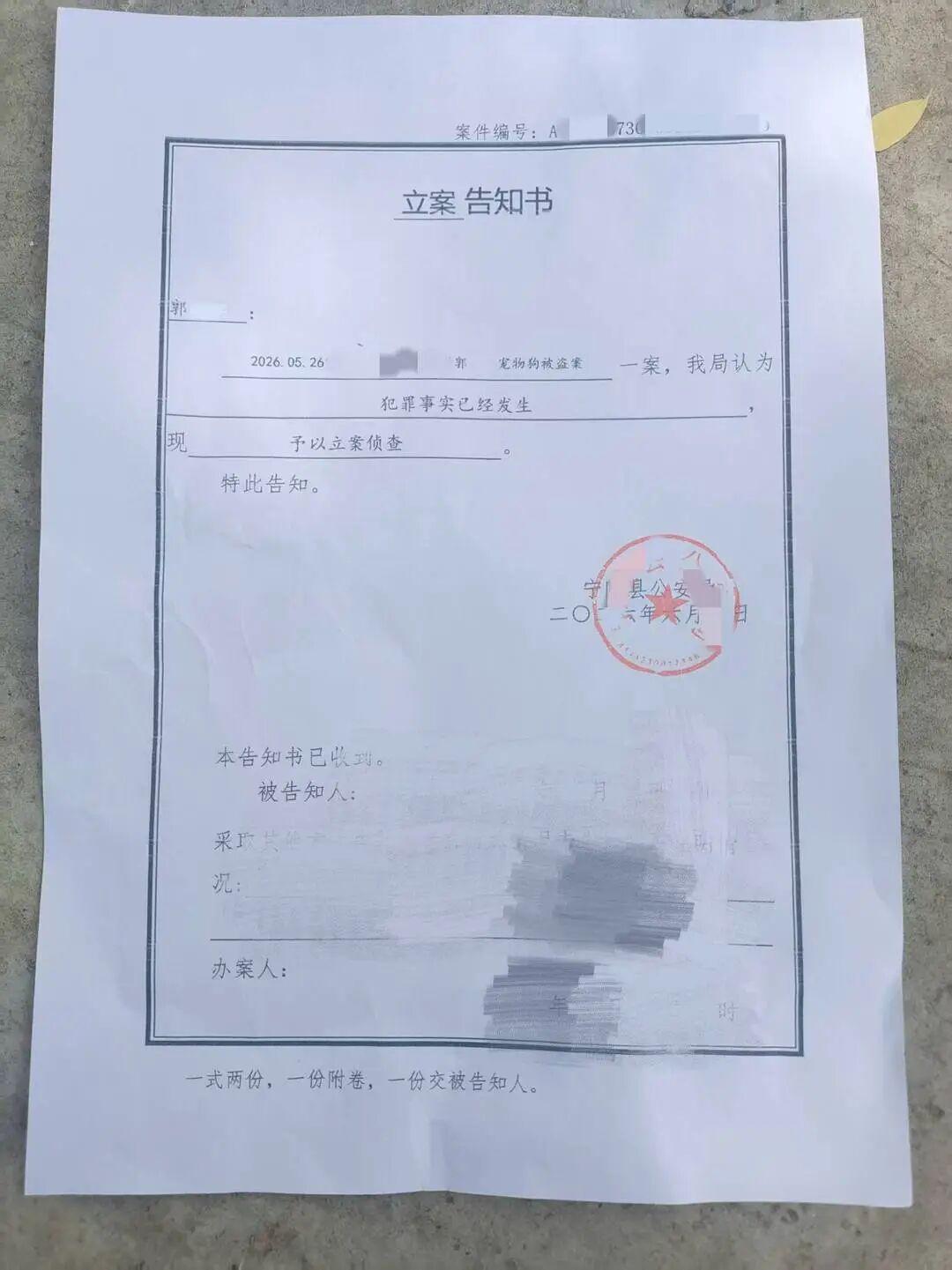 最新进展！警方已对网红边牧“锄头”被盗走转卖宰杀一事刑事立案