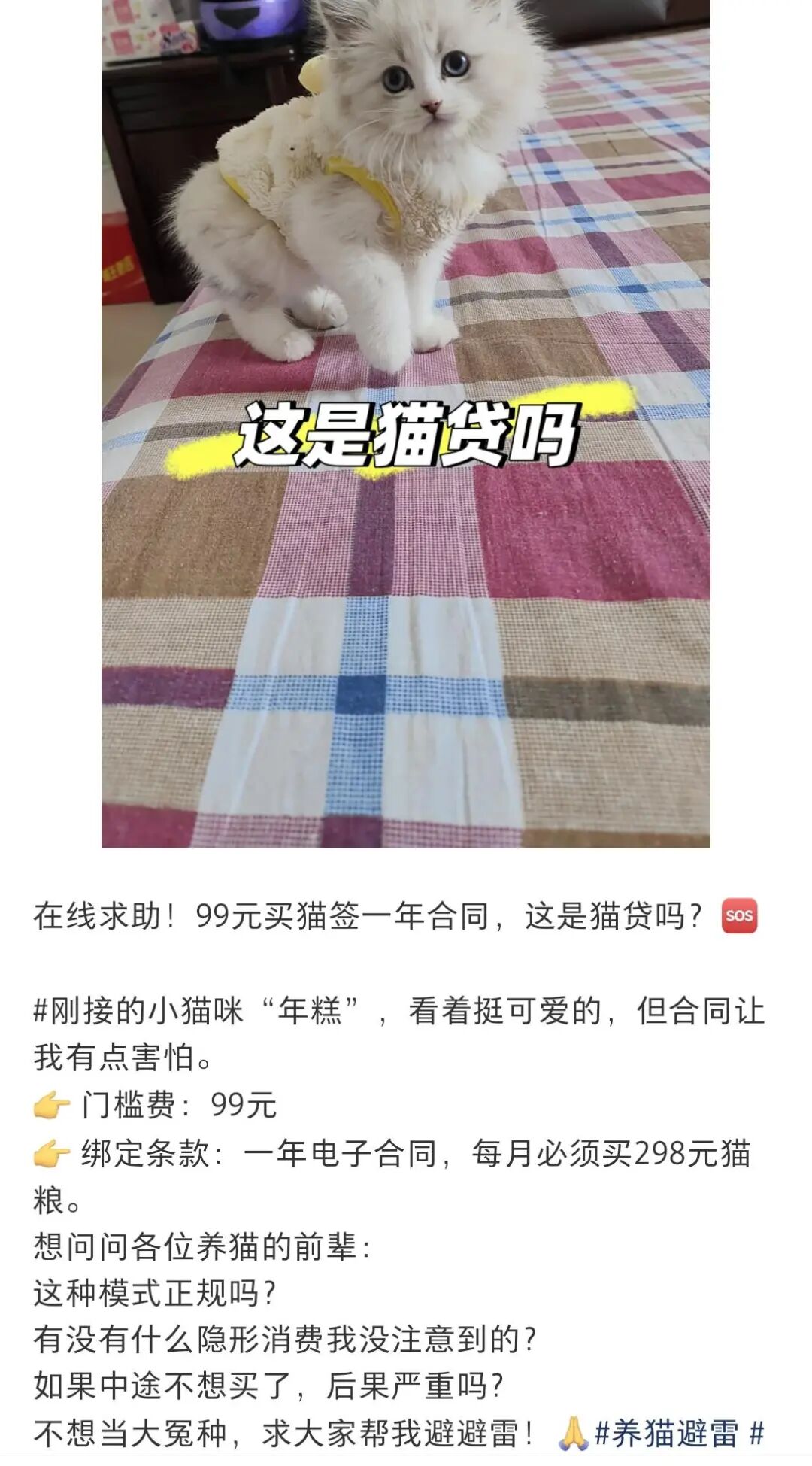 “0元领养猫咪”?记者调查:大批养猫爱好者遇捆绑消费,误入“宠物贷”圈套 “0元领养猫咪”?记者调查:大批养猫爱好者遇捆绑消费,误入“宠物贷”圈套