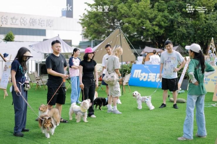 第二届深圳宠物友好文化节圆满落幕 第二届深圳宠物友好文化节圆满落幕