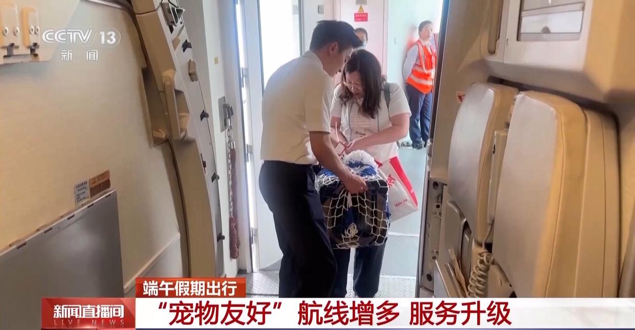 “宠物友好”航线服务升级 “它经济”正成航司竞争新赛道 “宠物友好”航线服务升级 “它经济”正成航司竞争新赛道