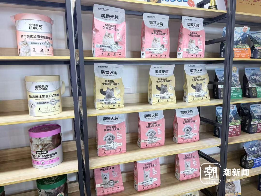 当AI开始读懂宠物，杭州有个“科技天团”正在改写养宠这件事