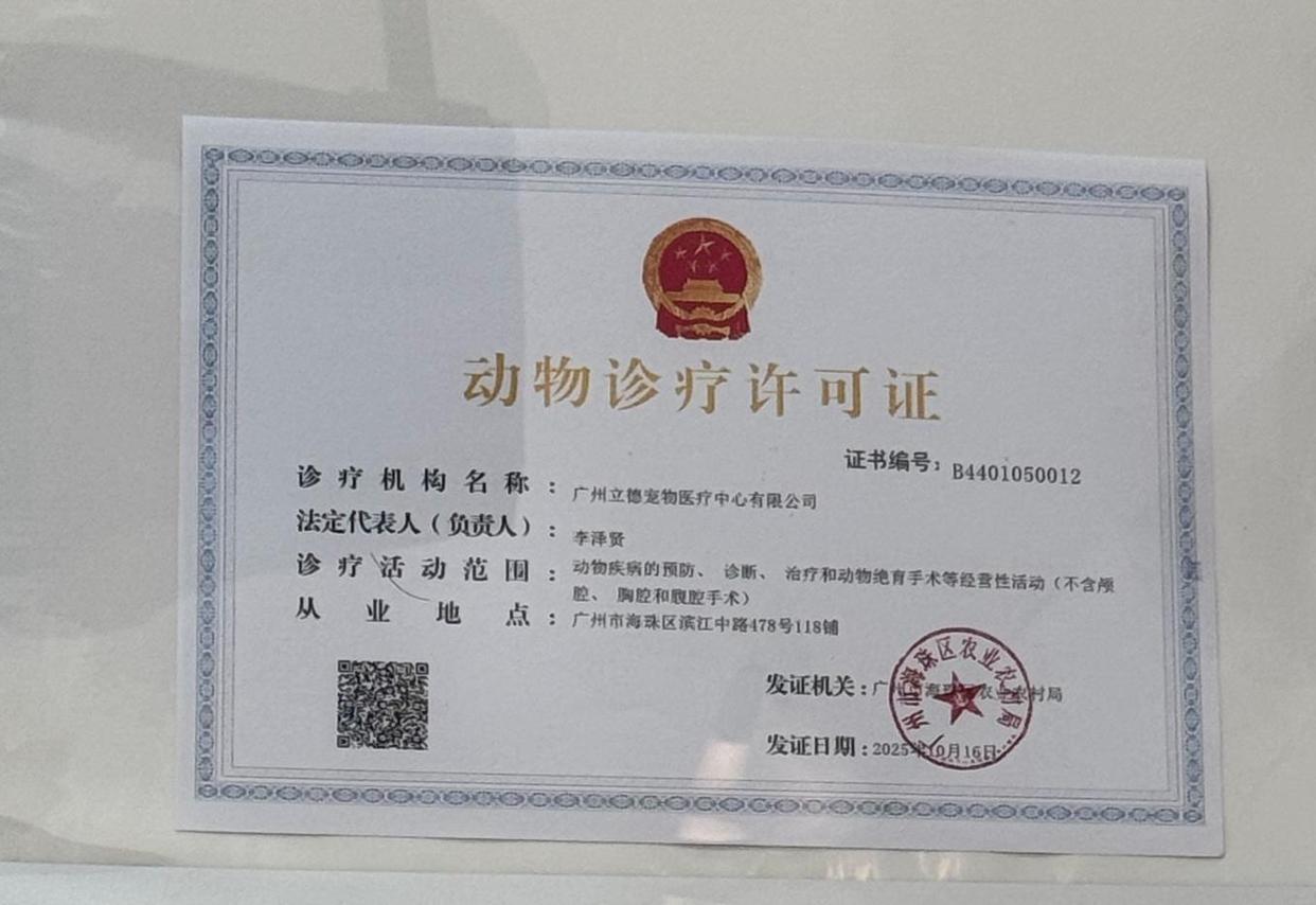 预后良好变骤然离世？6岁宠物猫离世背后：起底“立德”宠物诊所超范围经营乱象