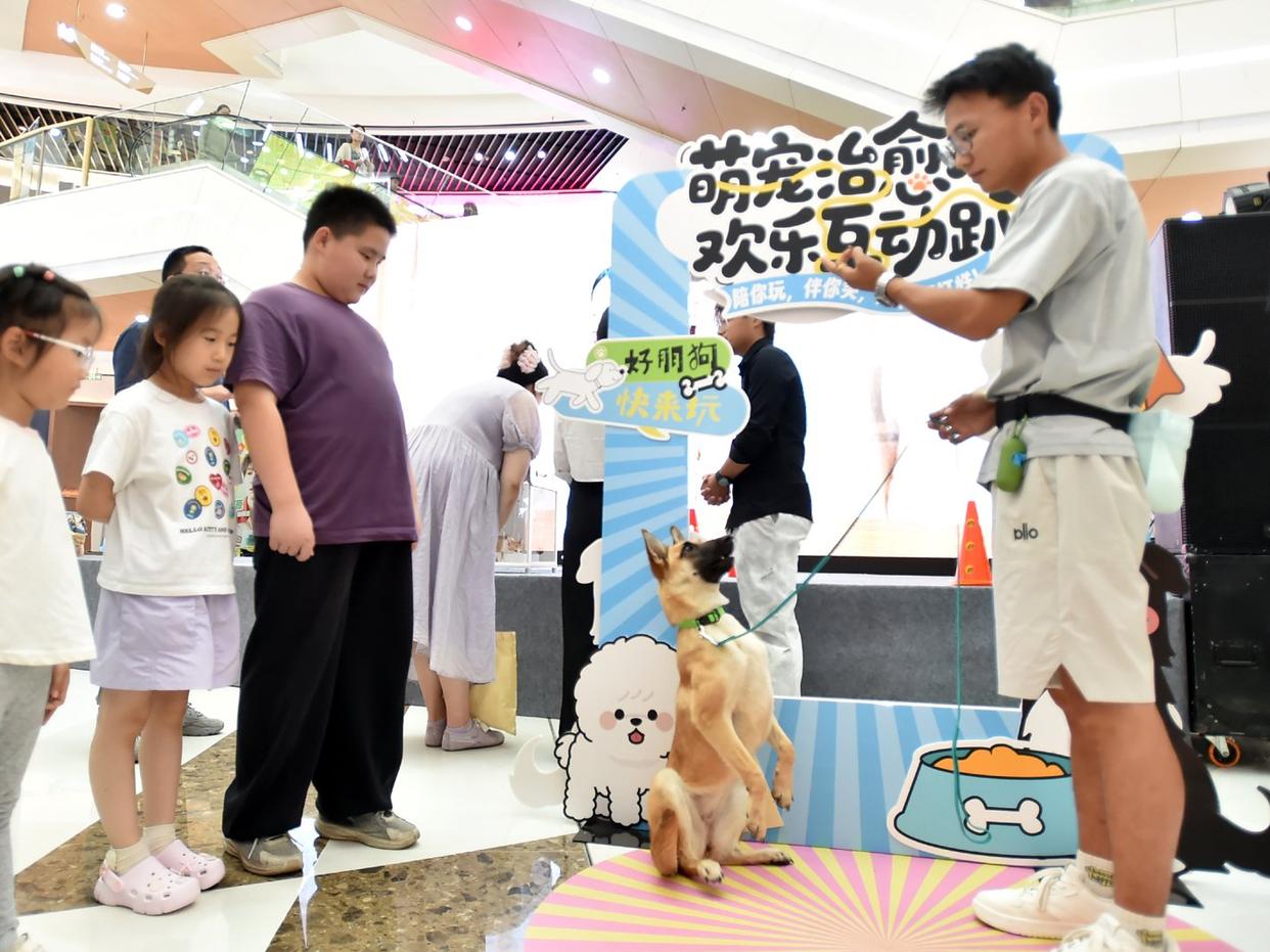 “桥”见人宠幸福，医械小镇竞跑宠物经济新赛道