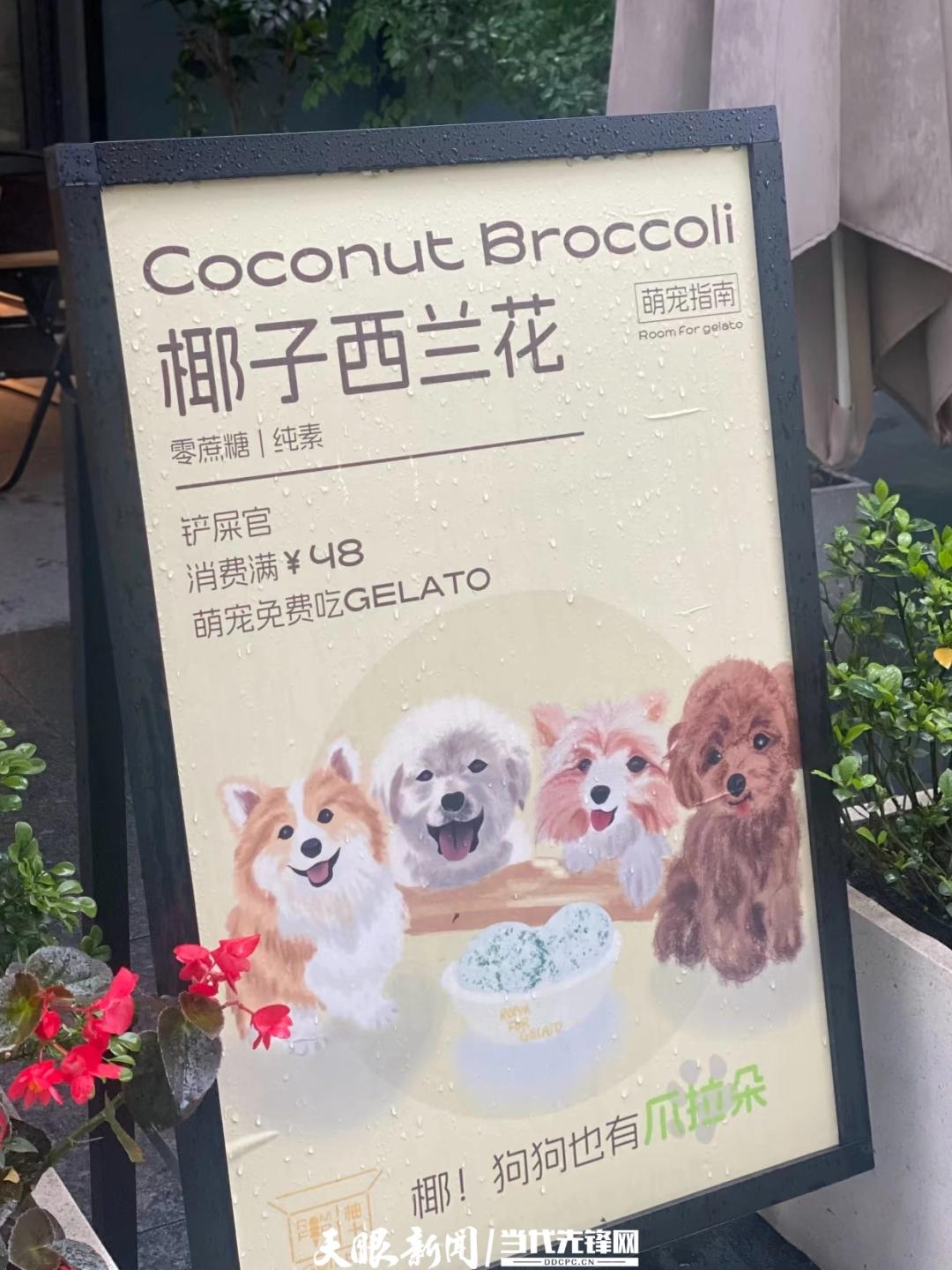 从云端到商圈：贵阳持续扩容宠物友好城市版图