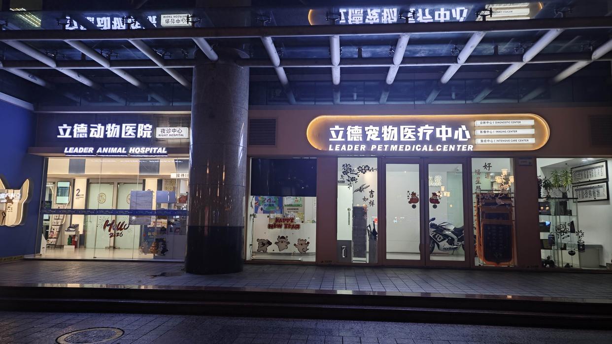 预后良好变骤然离世？6岁宠物猫离世背后：起底“立德”宠物诊所超范围经营乱象
