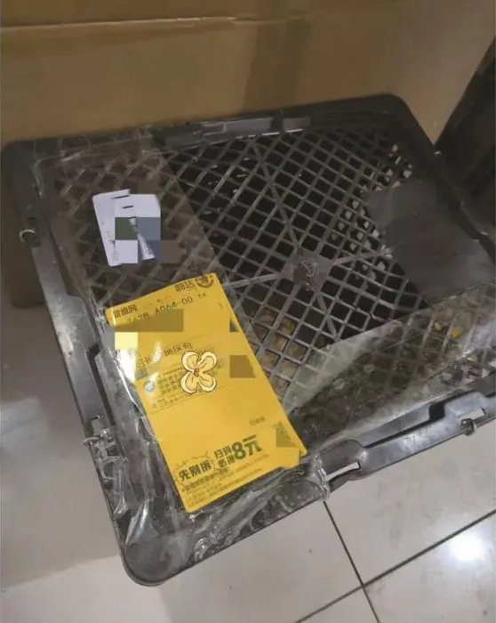 网购小猫竟用塑料筐寄来？网购宠物、快递送单问题多