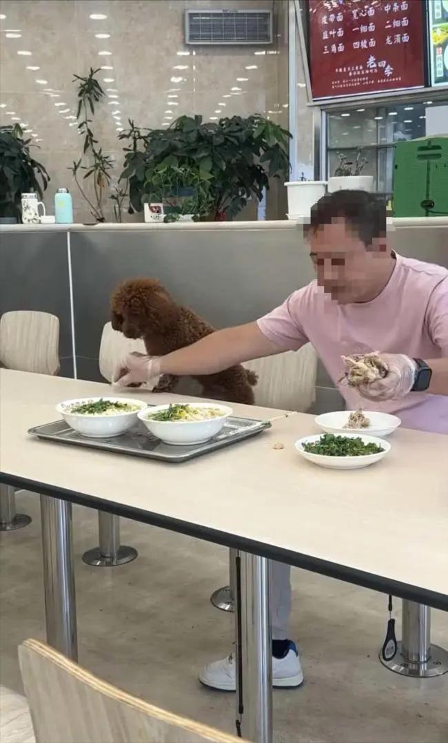 男子带宠物狗上桌吃饭并喂食，沈阳老四季深夜致歉门店停业整改