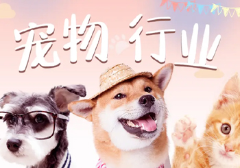 从扩张到收缩，95后创业者张草的宠物行业“生存突围”