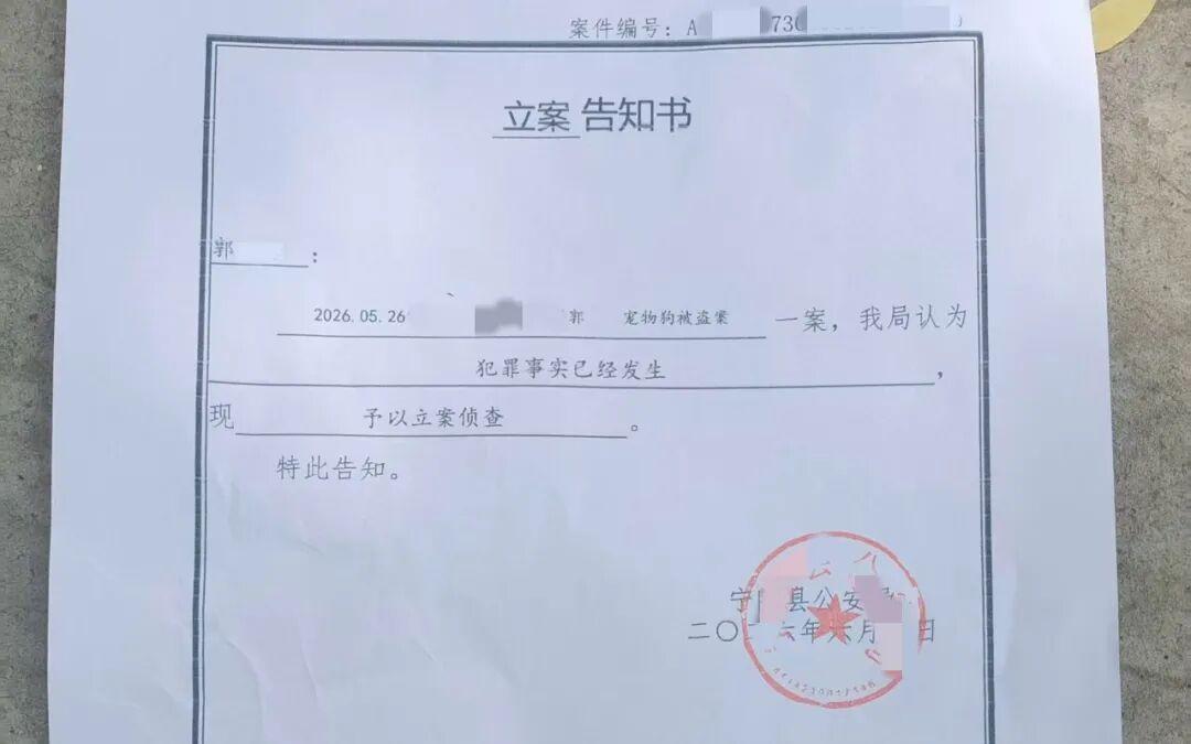 网红边牧被偷宰杀案已进入审查起诉阶段,主人在等待法院判决的最终结果 网红边牧被偷宰杀案已进入审查起诉阶段,主人在等待法院判决的最终结果