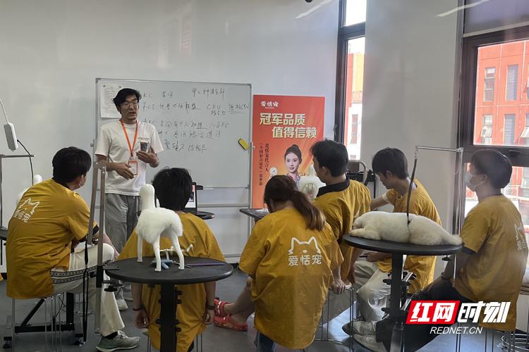 宠物经济催生人才需求,湖南规范化培训赛道提速 宠物经济催生人才需求,湖南规范化培训赛道提速