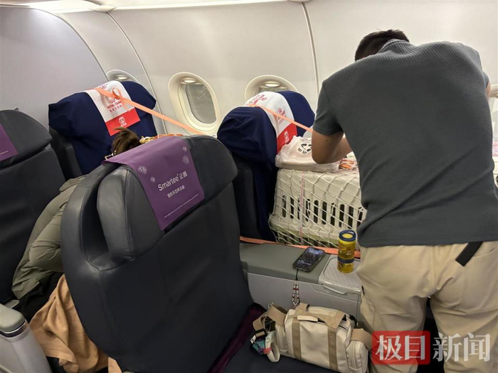 十一假期想带宠物出门远行?有这几种途径可以实现 十一假期想带宠物出门远行?有这几种途径可以实现