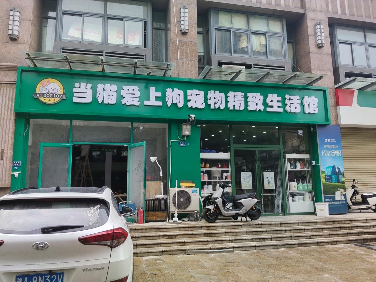 郑州一宠物店给泰迪狗修毛后竟少了一个乳头！店方：系美容师操作失误导致