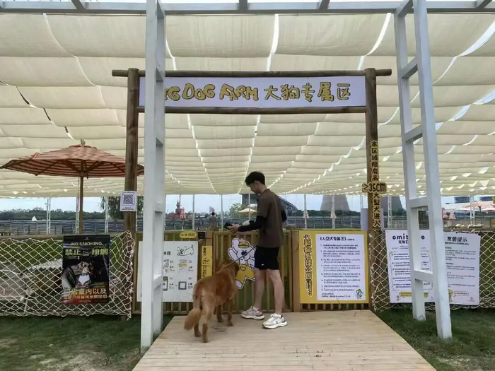 自驾1小时只为带狗撒欢!这个宠物乐园,粉丝群竟达4万人 自驾1小时只为带狗撒欢!这个宠物乐园,粉丝群竟达4万人