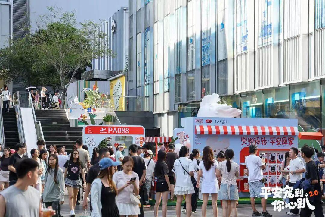 为“毛孩子”买单,养宠人的安全感是没有后顾之忧 为“毛孩子”买单,养宠人的安全感是没有后顾之忧