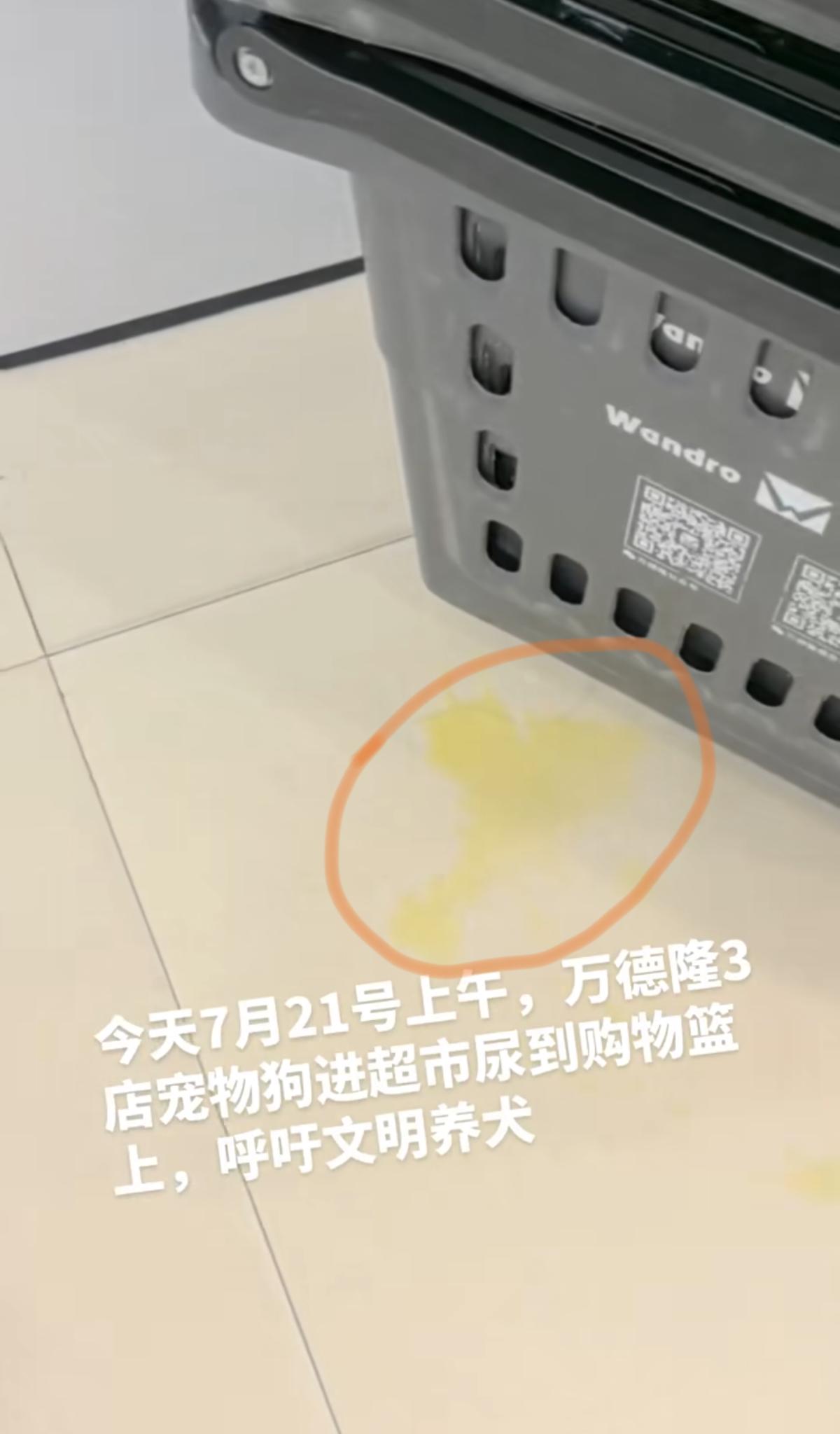 宠物狗在超市购物篮旁撒尿,店方:事发地为超市门外,已消毒清洁 宠物狗在超市购物篮旁撒尿,店方:事发地为超市门外,已消毒清洁