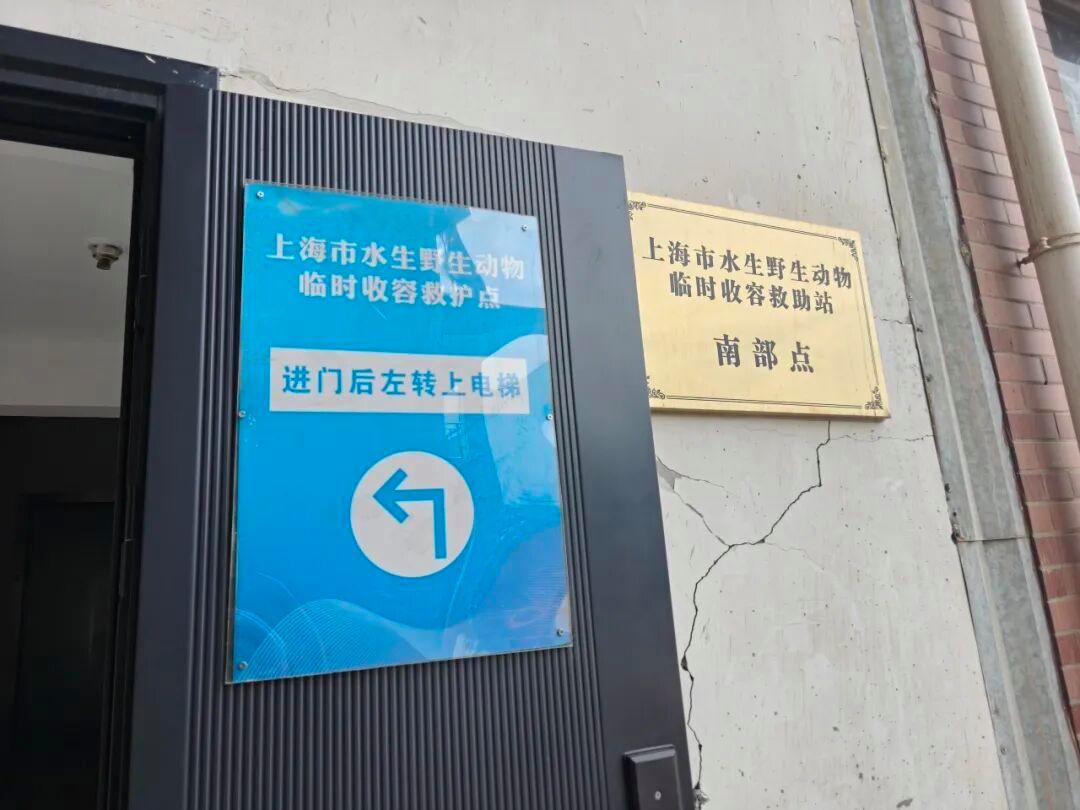高中生网购暹罗鳄家长被吓一跳,暂存消防通道不想鳄鱼深夜“越狱” 高中生网购暹罗鳄家长被吓一跳,暂存消防通道不想鳄鱼深夜“越狱”