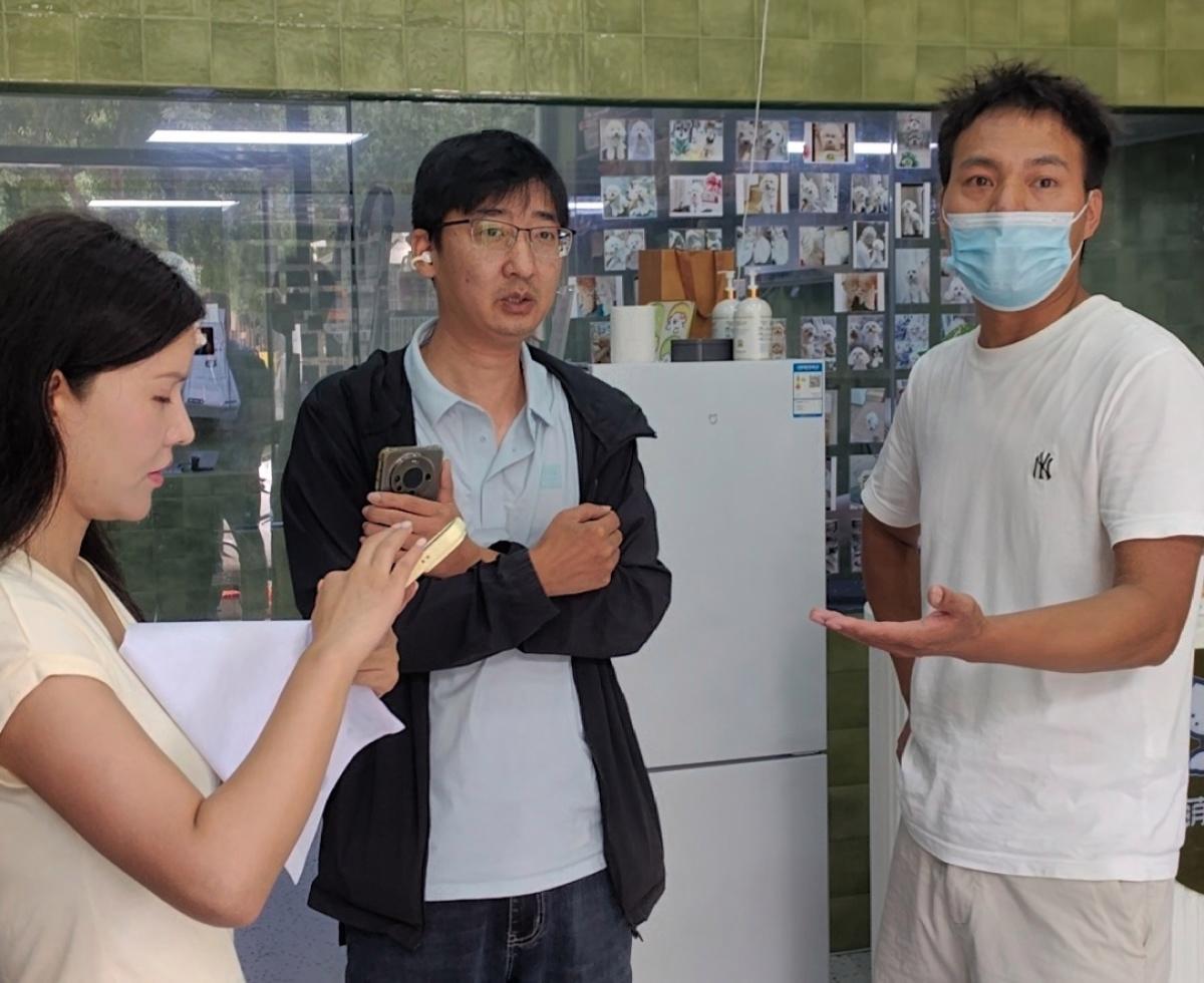 郑州一宠物店给泰迪狗修毛后竟少了一个乳头！店方：系美容师操作失误导致