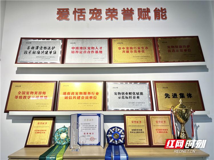 宠物经济催生人才需求,湖南规范化培训赛道提速 宠物经济催生人才需求,湖南规范化培训赛道提速