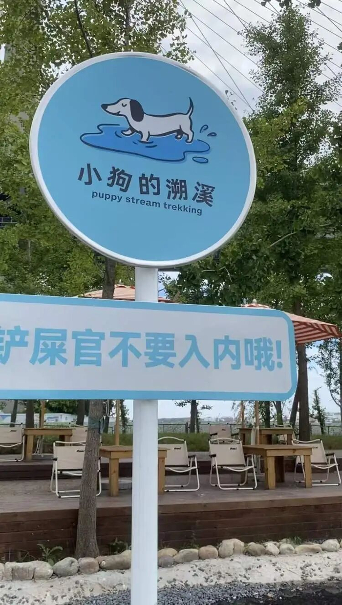 自驾1小时只为带狗撒欢!这个宠物乐园,粉丝群竟达4万人 自驾1小时只为带狗撒欢!这个宠物乐园,粉丝群竟达4万人