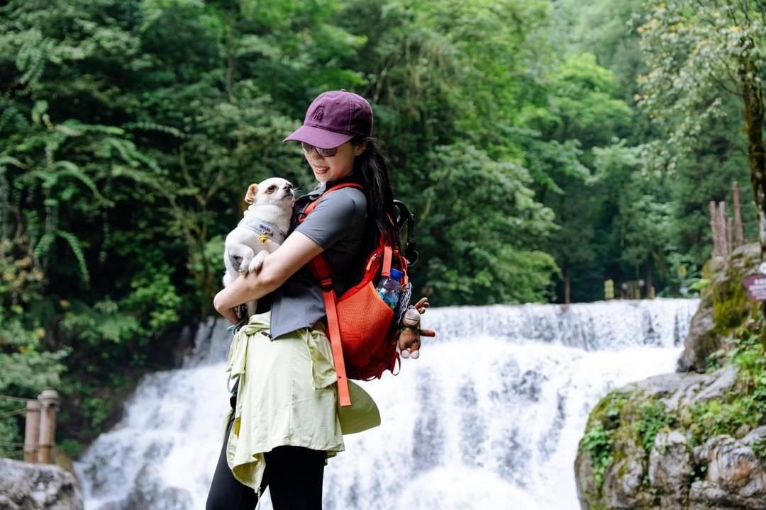 7月15日至8月31日,成都西岭雪山景区后山半山对宠物正式开放 7月15日至8月31日,成都西岭雪山景区后山半山对宠物正式开放