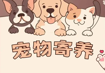 宠物寄养需求持续攀升，山东消协发布宠物寄养小贴士