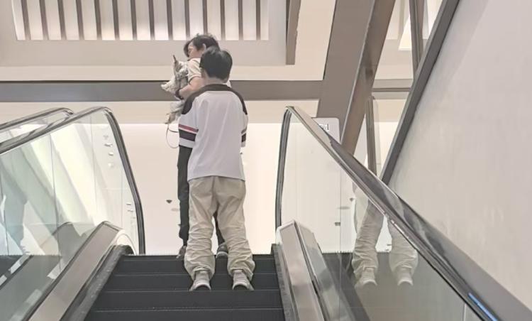 养宠者陷入“进出”两难:“宠物禁入”后,开在商场里的宠物店如何抵达? 养宠者陷入“进出”两难:“宠物禁入”后,开在商场里的宠物店如何抵达?