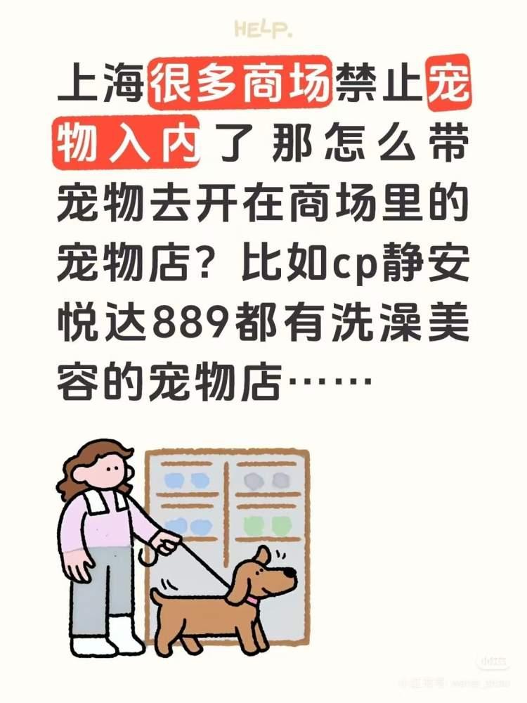 养宠者陷入“进出”两难:“宠物禁入”后,开在商场里的宠物店如何抵达? 养宠者陷入“进出”两难:“宠物禁入”后,开在商场里的宠物店如何抵达?