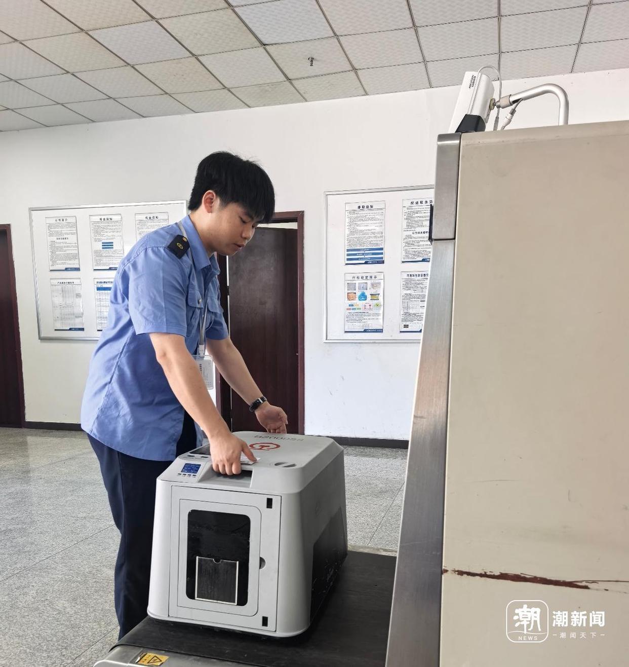 一只猫飞越半个中国:1.26亿宠物的出行变革 一只猫飞越半个中国:1.26亿宠物的出行变革