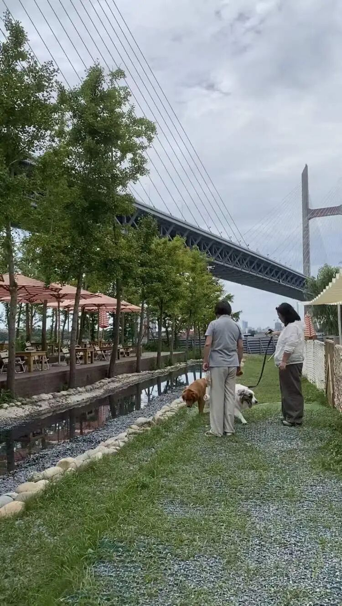 自驾1小时只为带狗撒欢!这个宠物乐园,粉丝群竟达4万人 自驾1小时只为带狗撒欢!这个宠物乐园,粉丝群竟达4万人