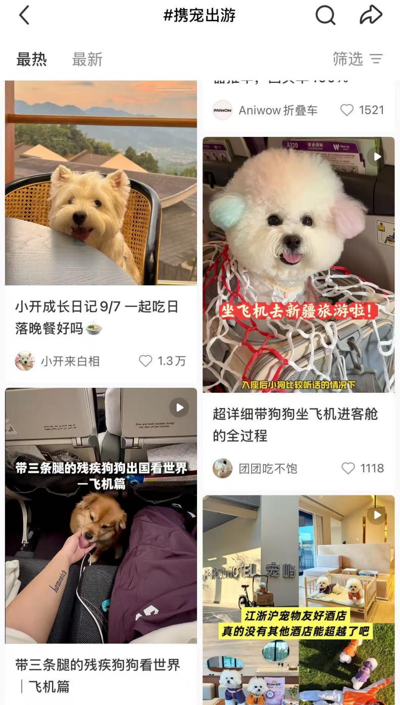 为“毛孩子”买单,养宠人的安全感是没有后顾之忧 为“毛孩子”买单,养宠人的安全感是没有后顾之忧