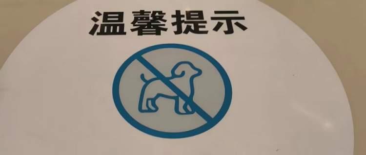 养宠者陷入“进出”两难:“宠物禁入”后,开在商场里的宠物店如何抵达? 养宠者陷入“进出”两难:“宠物禁入”后,开在商场里的宠物店如何抵达?