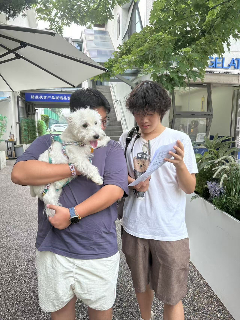 “宠”启新生活：青年实践团倾听养宠居民心声，助力宠物友好发展