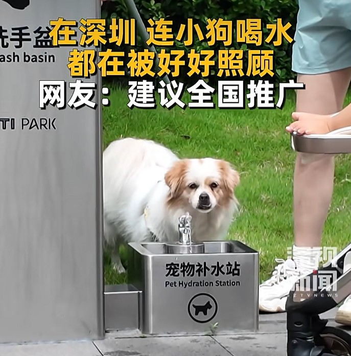 多地接连出现宠物狗使用公共直饮水事件,管理方已对相关设施消毒并加强巡查