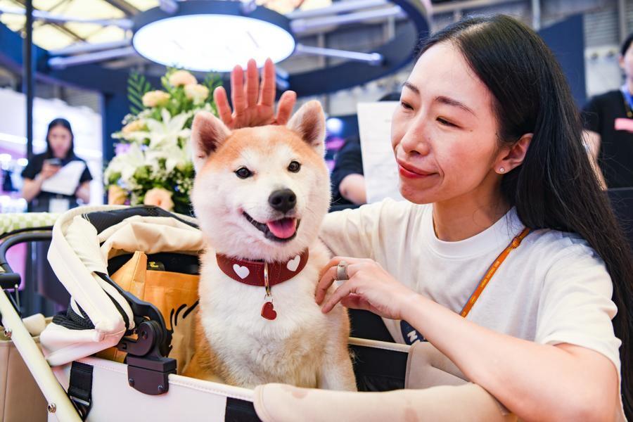 AI读懂“喵言汪语”：第28届亚宠展亮相宠物黑科技，2028年市场规模或破4050亿元
