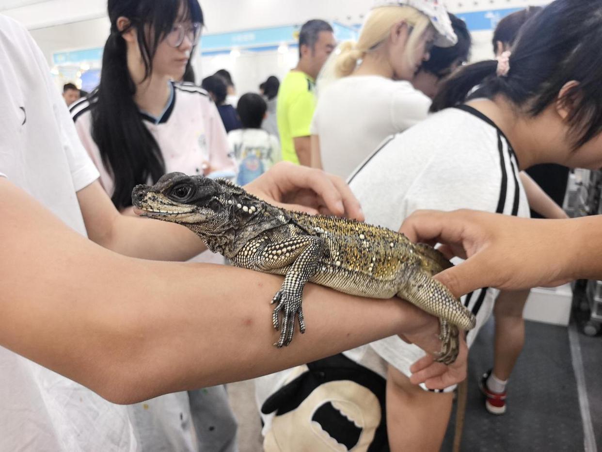 台州首届宠物生活博览会圆满落幕,展会累计进场1.1万人次 台州首届宠物生活博览会圆满落幕,展会累计进场1.1万人次