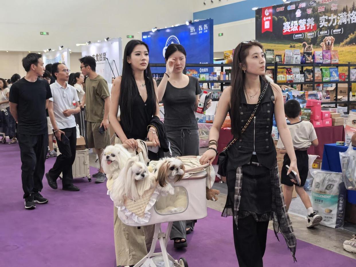 台州首届宠物生活博览会圆满落幕,展会累计进场1.1万人次 台州首届宠物生活博览会圆满落幕,展会累计进场1.1万人次