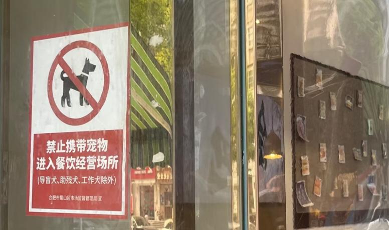 多家商场陆续取消宠物友好！“撸宠流量”玩不转了？