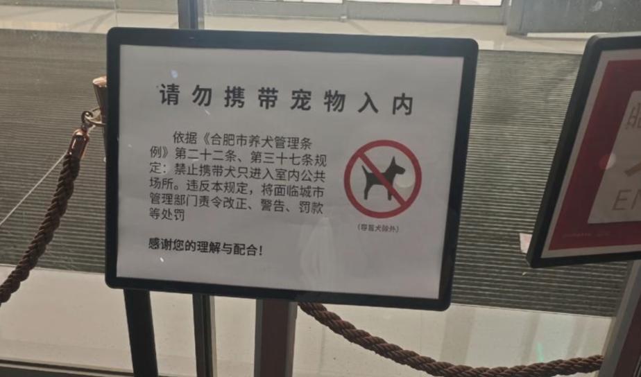 多家商场陆续取消宠物友好！“撸宠流量”玩不转了？