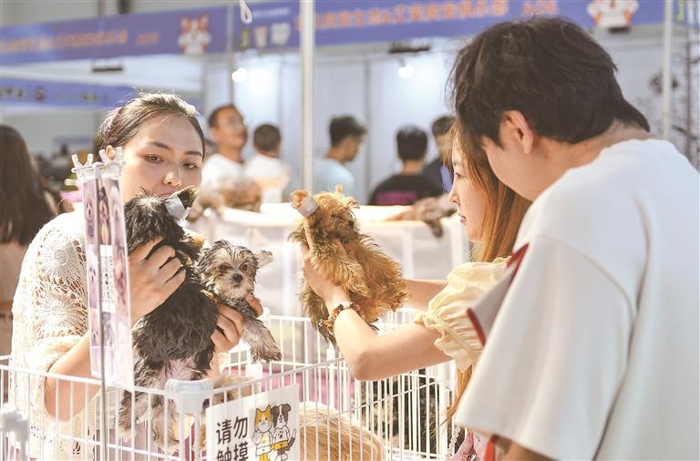 2026西部(银川)首届宠物产业博览会在宁夏银川国际会展中心开幕 2026西部(银川)首届宠物产业博览会在宁夏银川国际会展中心开幕
