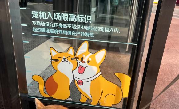 多家商场陆续取消宠物友好！“撸宠流量”玩不转了？
