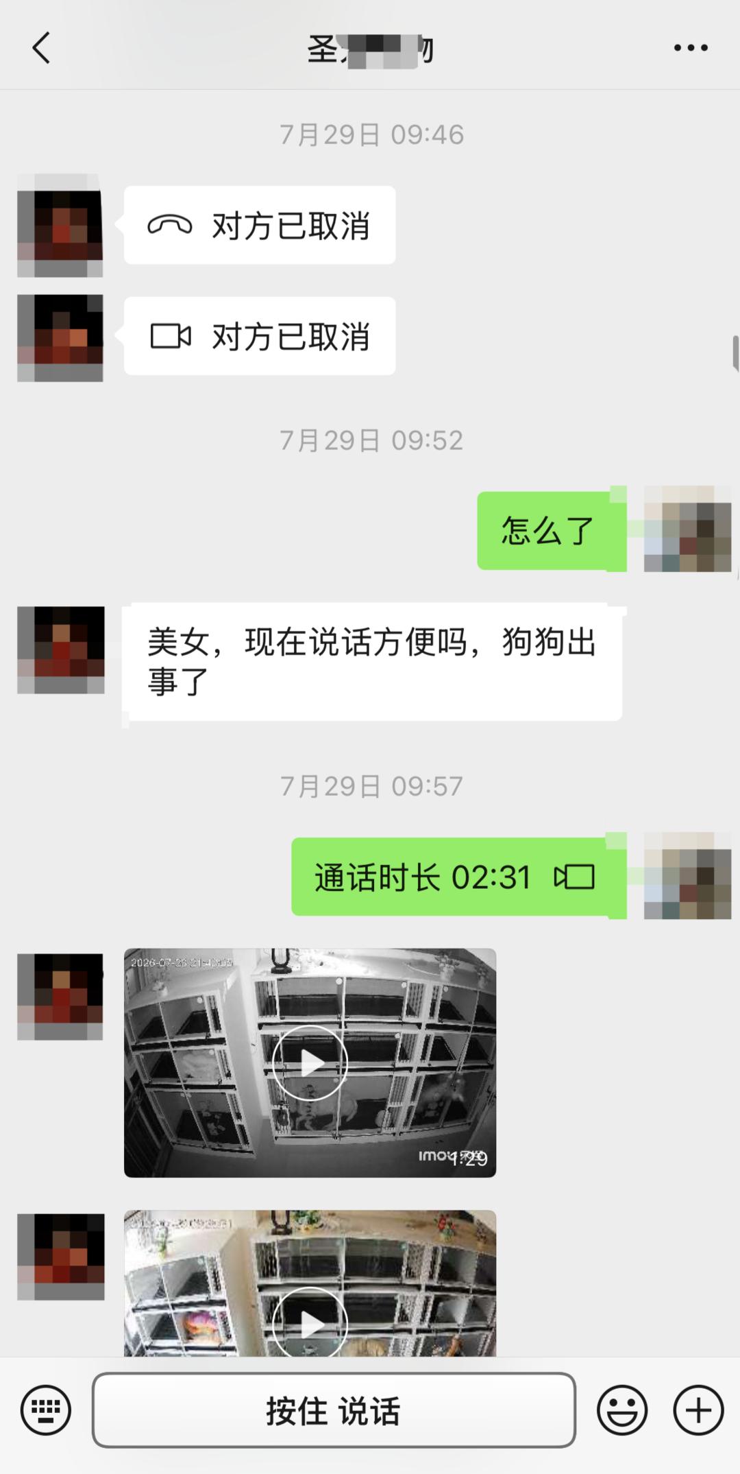 边牧寄养十余小时后死亡，多次协商未果，犬主起诉宠物店