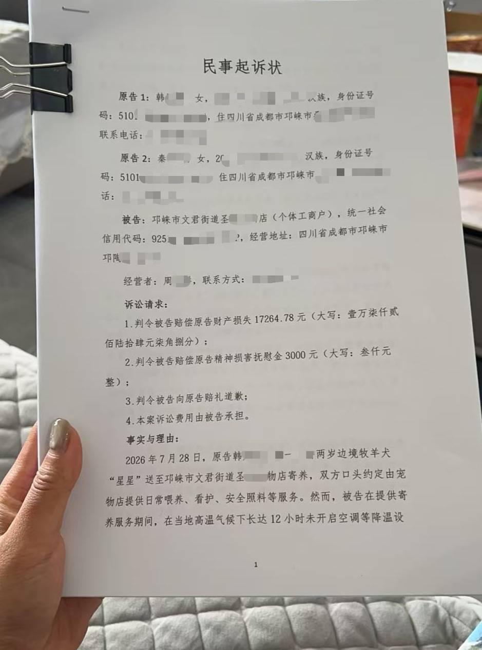 边牧寄养十余小时后死亡，多次协商未果，犬主起诉宠物店